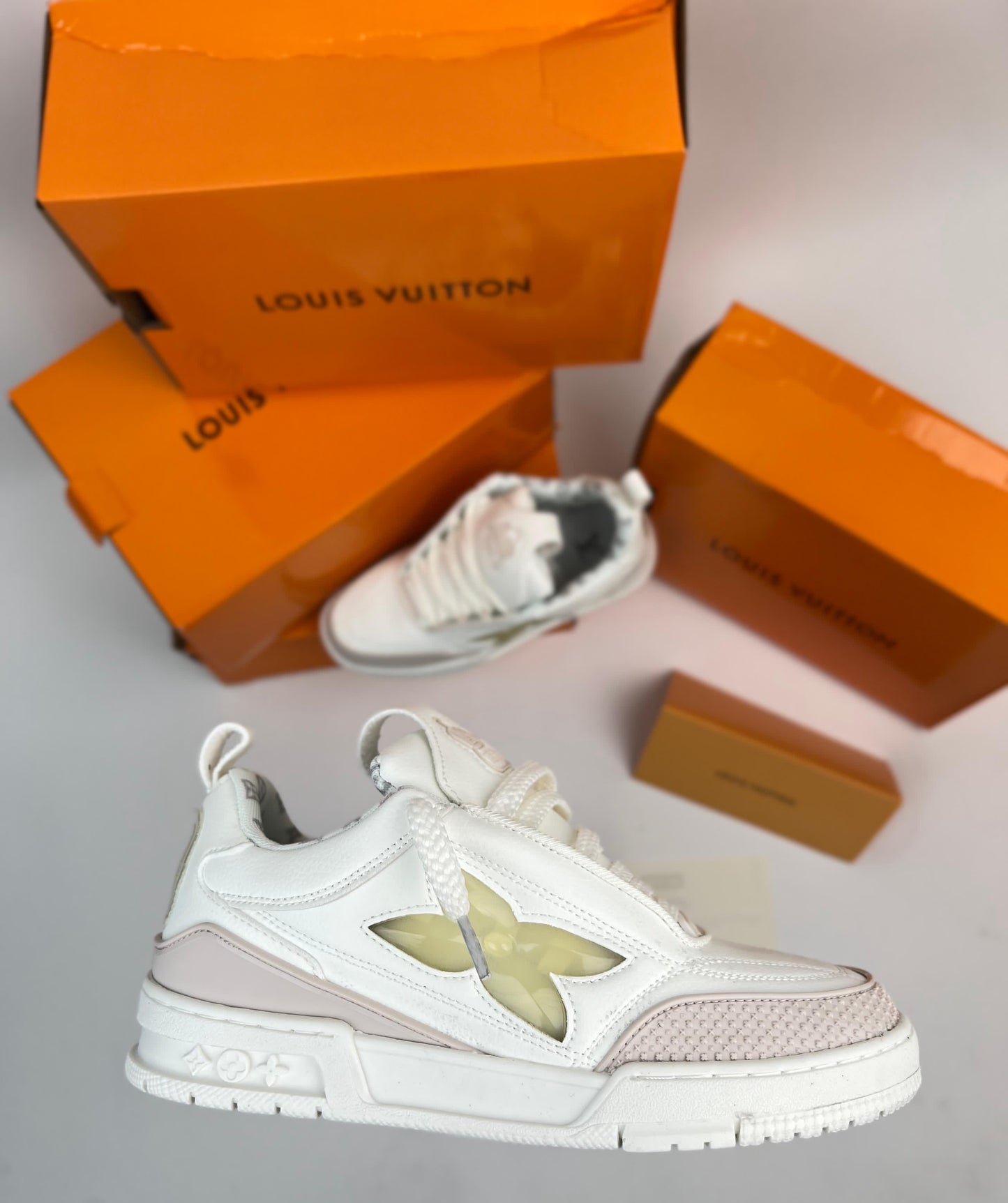 LOUIS VUITTON SKATE