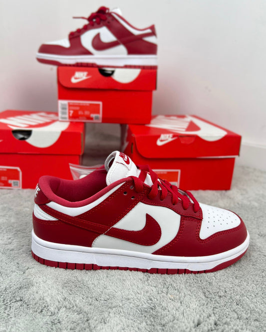 NIKE DUNK LOW RETRO