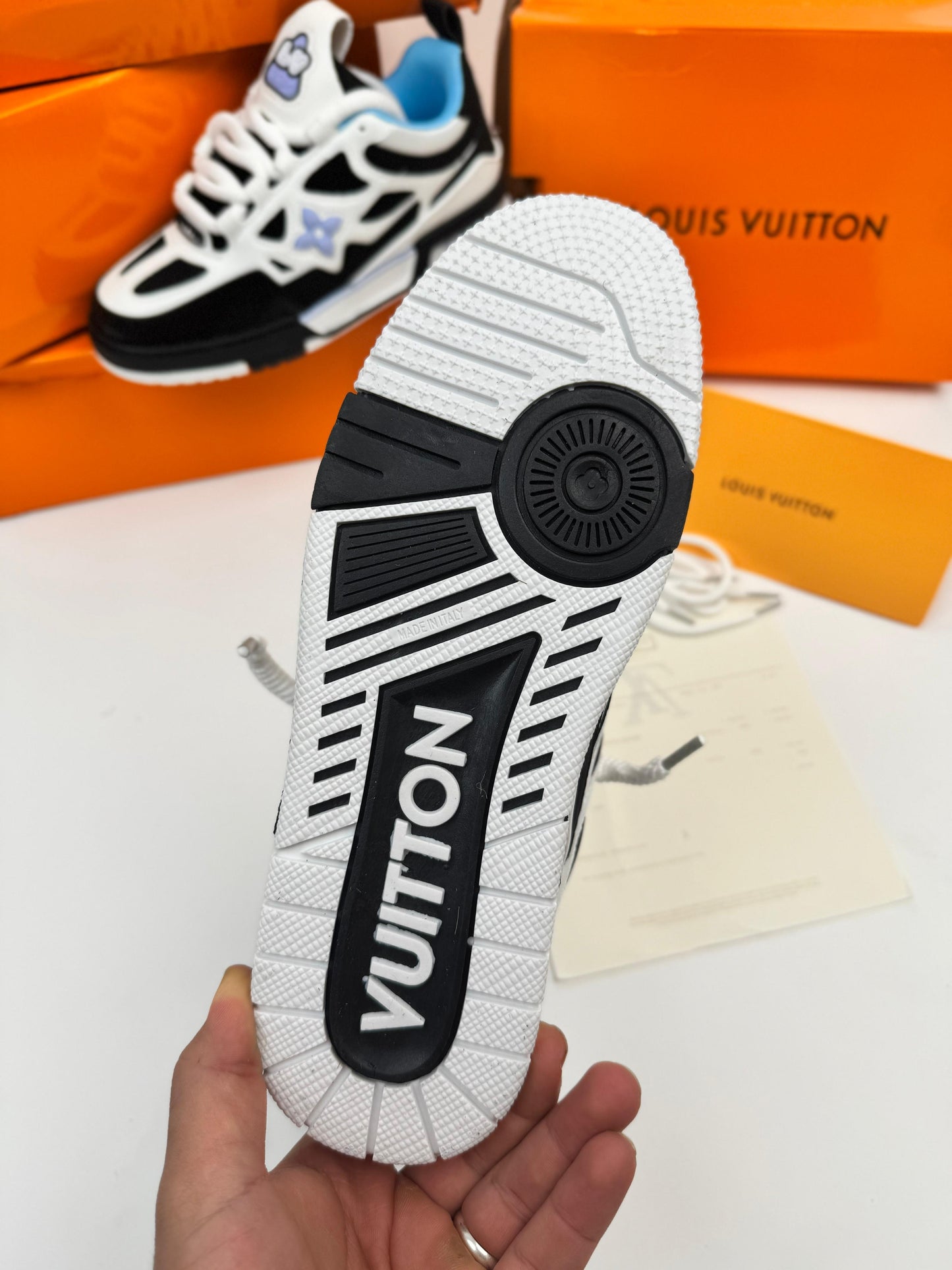 LOUIS VUITTON SKATE