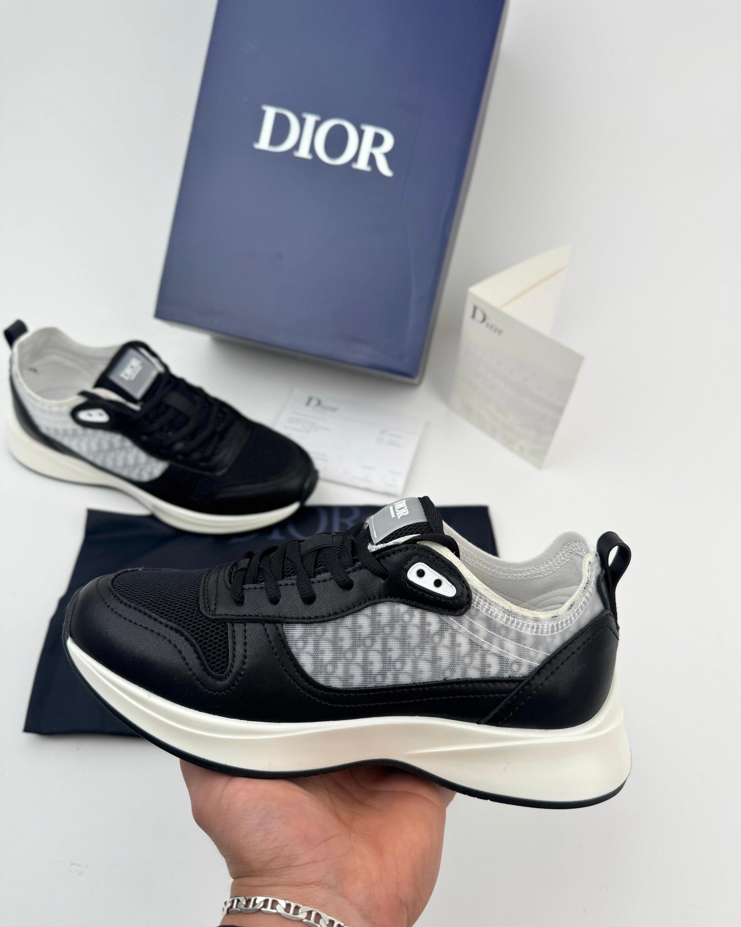 DIOR B25