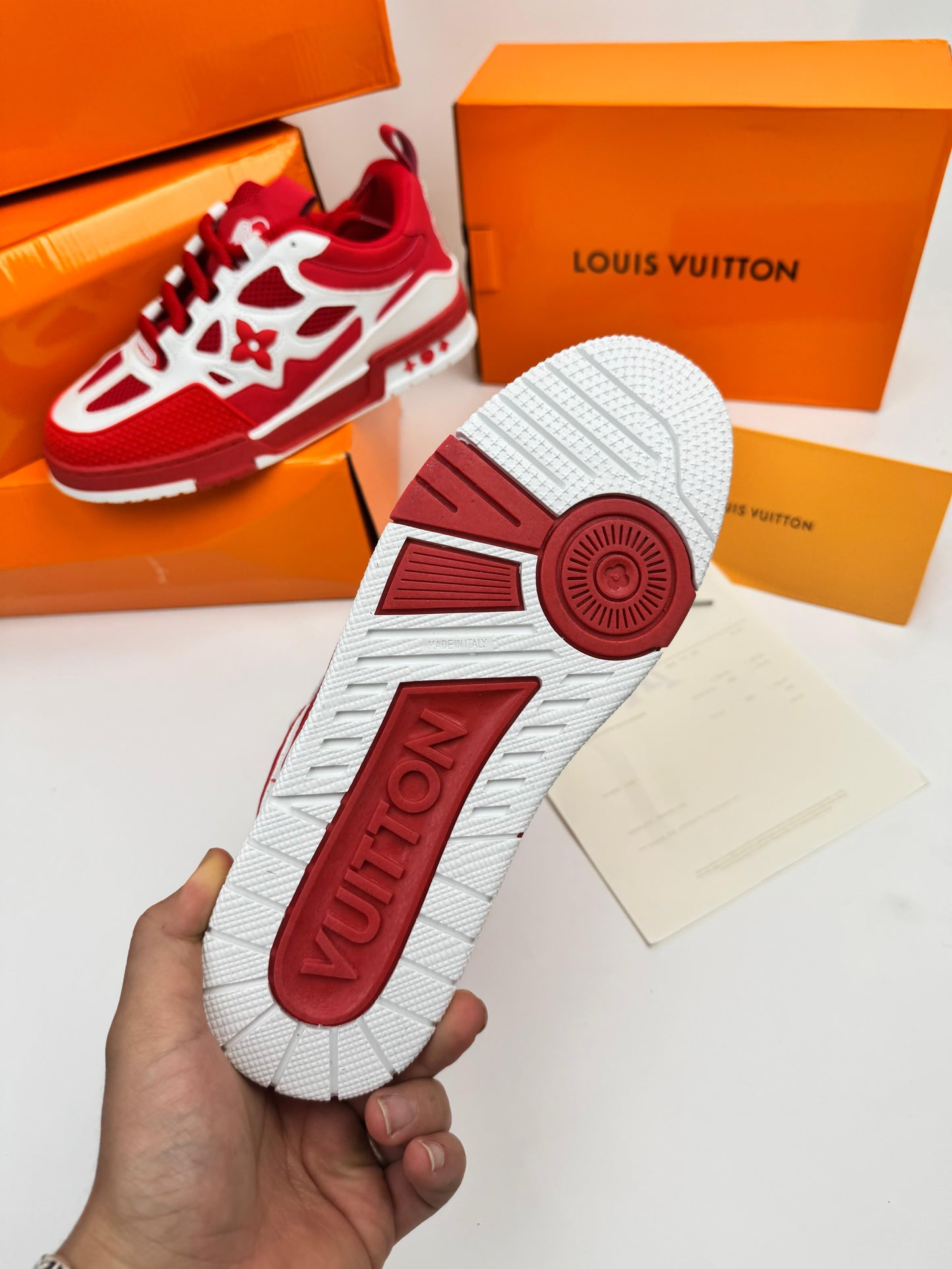 LOUIS VUITTON SKATE